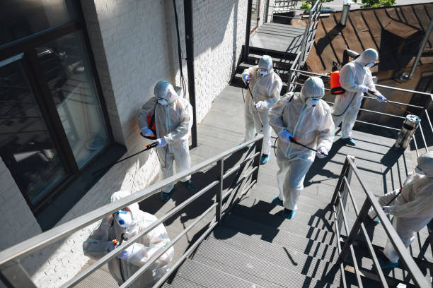 Trusted Fallsburg, NY Mold Removal Experts