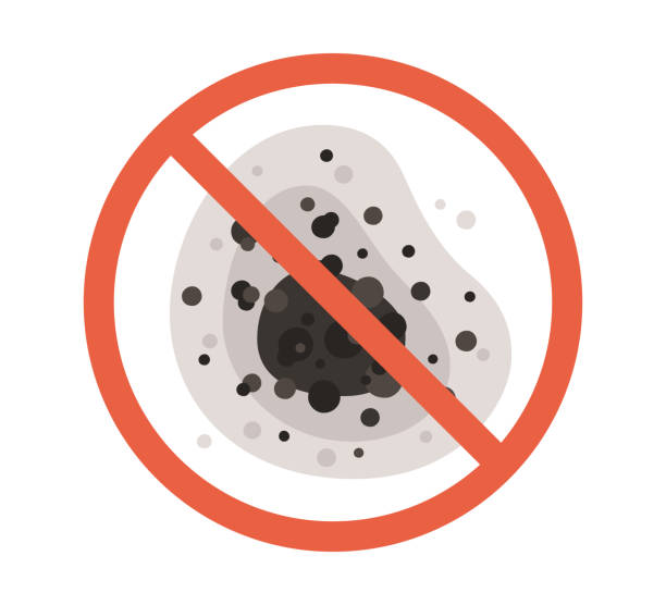 Mold Documentation for Insurance Claims in Fallsburg, NY
