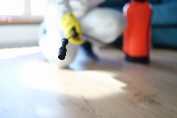 Mold Remediation for Rental Properties in Fallsburg, NY
